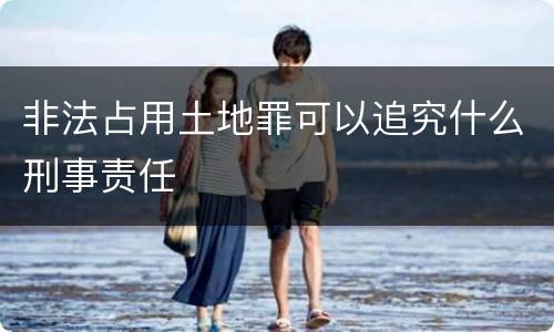 非法占用土地罪可以追究什么刑事责任