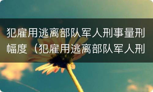 犯雇用逃离部队军人刑事量刑幅度（犯雇用逃离部队军人刑事量刑幅度有多大）