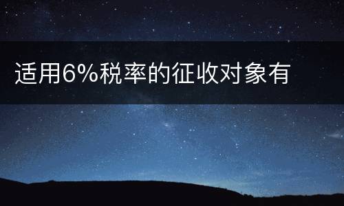 适用6%税率的征收对象有