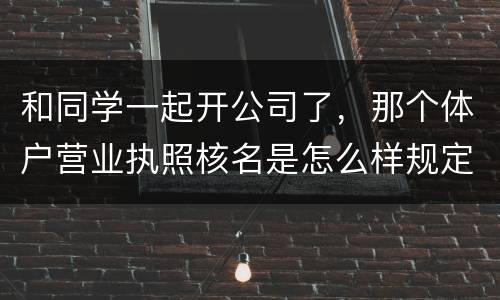和同学一起开公司了，那个体户营业执照核名是怎么样规定的
