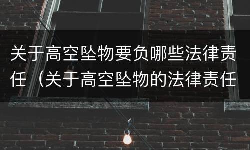 关于高空坠物要负哪些法律责任（关于高空坠物的法律责任）