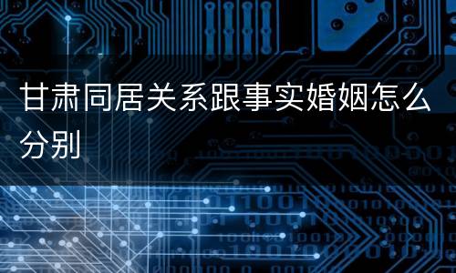 甘肃同居关系跟事实婚姻怎么分别