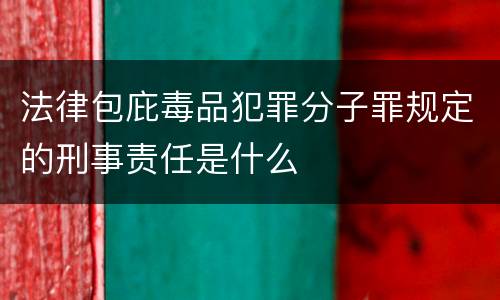 法律包庇毒品犯罪分子罪规定的刑事责任是什么
