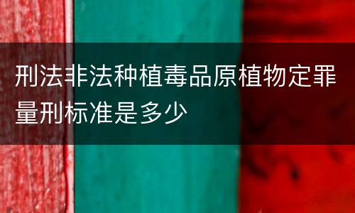 刑法非法种植毒品原植物定罪量刑标准是多少