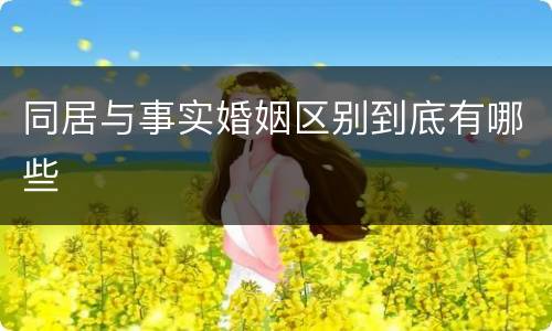 同居与事实婚姻区别到底有哪些