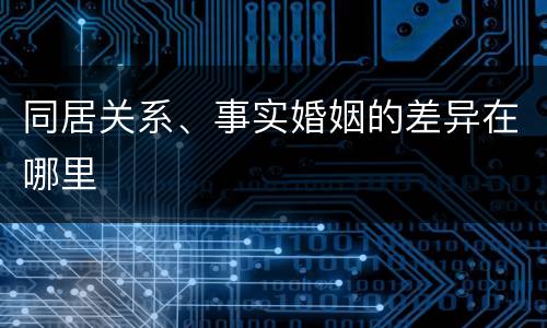 同居关系、事实婚姻的差异在哪里