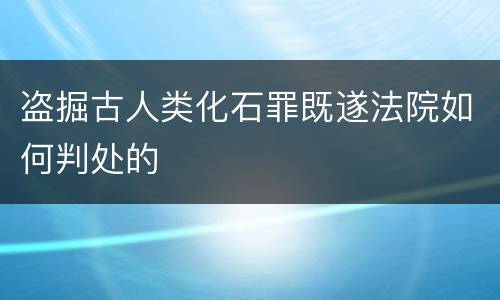 盗掘古人类化石罪既遂法院如何判处的