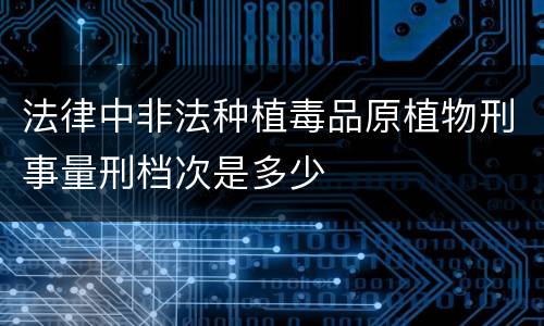 法律中非法种植毒品原植物刑事量刑档次是多少