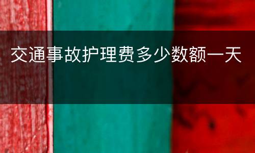 交通事故护理费多少数额一天