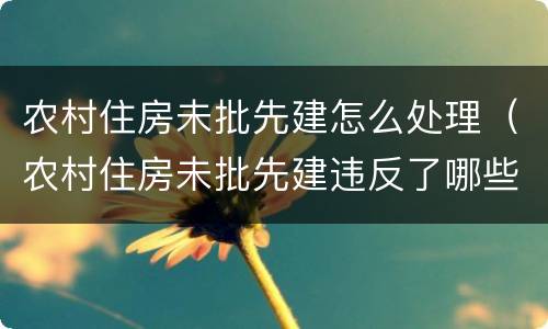 农村住房未批先建怎么处理（农村住房未批先建违反了哪些法律法规）