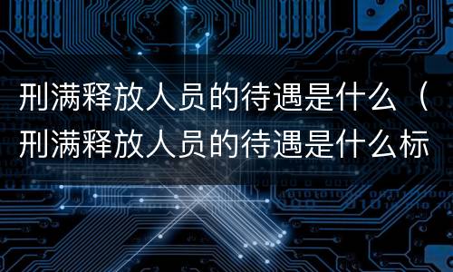 刑满释放人员的待遇是什么（刑满释放人员的待遇是什么标准）