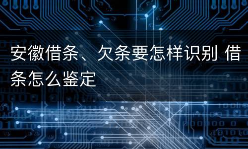安徽借条、欠条要怎样识别 借条怎么鉴定