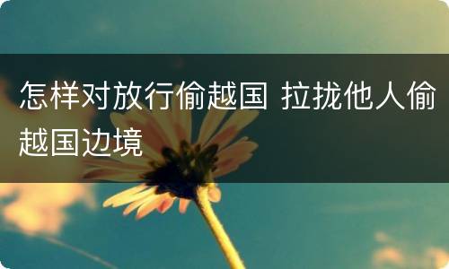 怎样对放行偷越国 拉拢他人偷越国边境