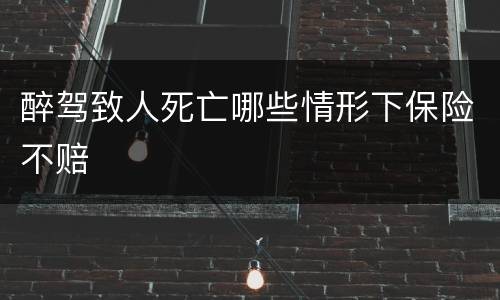 醉驾致人死亡哪些情形下保险不赔