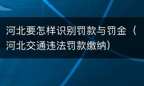 河北要怎样识别罚款与罚金（河北交通违法罚款缴纳）