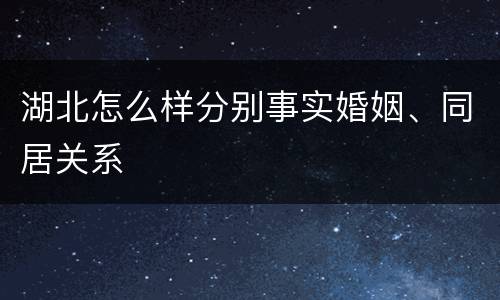 湖北怎么样分别事实婚姻、同居关系