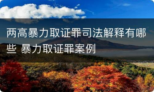 两高暴力取证罪司法解释有哪些 暴力取证罪案例