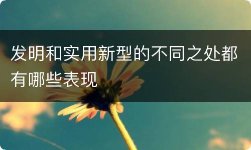 发明和实用新型的不同之处都有哪些表现