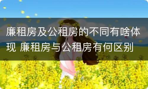 廉租房及公租房的不同有啥体现 廉租房与公租房有何区别