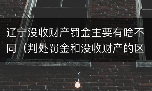 辽宁没收财产罚金主要有啥不同（判处罚金和没收财产的区别）