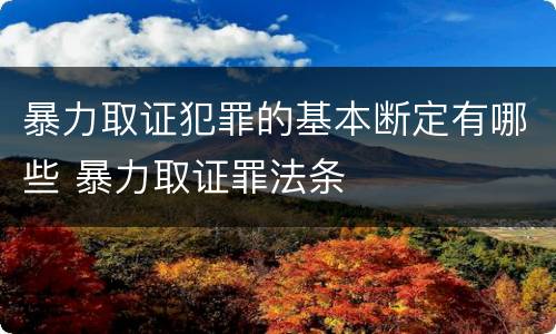 暴力取证犯罪的基本断定有哪些 暴力取证罪法条