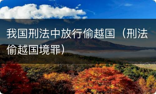 我国刑法中放行偷越国（刑法偷越国境罪）