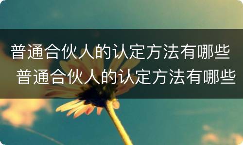 普通合伙人的认定方法有哪些 普通合伙人的认定方法有哪些标准