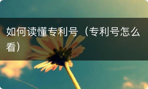 如何读懂专利号（专利号怎么看）