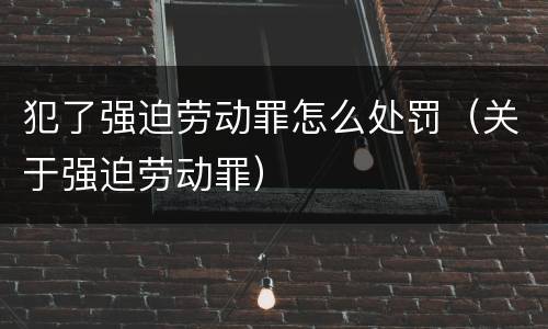 犯了强迫劳动罪怎么处罚（关于强迫劳动罪）