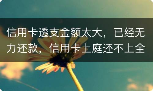 信用卡透支金额太大，已经无力还款，信用卡上庭还不上全款怎么办