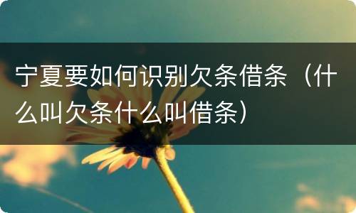 宁夏要如何识别欠条借条（什么叫欠条什么叫借条）