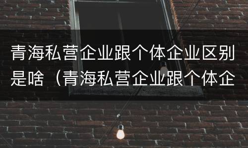 青海私营企业跟个体企业区别是啥（青海私营企业跟个体企业区别是啥呀）