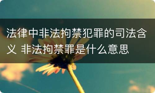 法律中非法拘禁犯罪的司法含义 非法拘禁罪是什么意思
