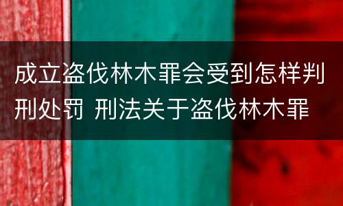 成立盗伐林木罪会受到怎样判刑处罚 刑法关于盗伐林木罪