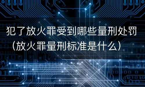 犯了放火罪受到哪些量刑处罚（放火罪量刑标准是什么）