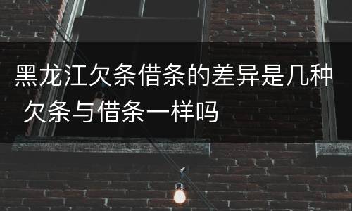 黑龙江欠条借条的差异是几种 欠条与借条一样吗