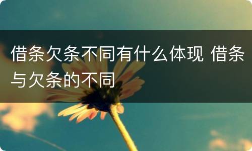 借条欠条不同有什么体现 借条与欠条的不同