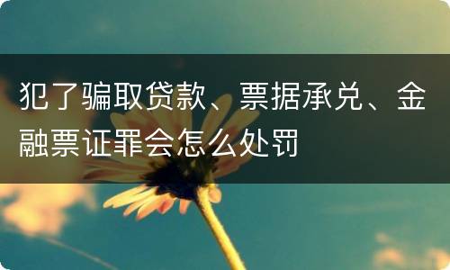 犯了骗取贷款、票据承兑、金融票证罪会怎么处罚