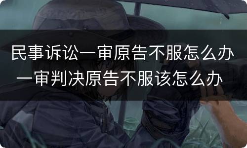 民事诉讼一审原告不服怎么办 一审判决原告不服该怎么办