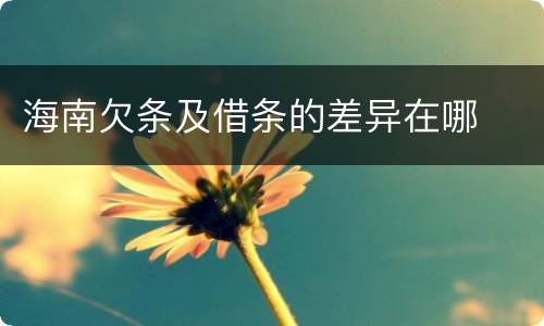 海南欠条及借条的差异在哪