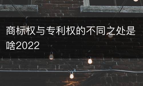 商标权与专利权的不同之处是啥2022
