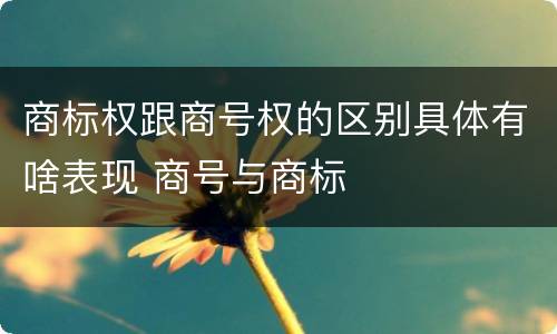 商标权跟商号权的区别具体有啥表现 商号与商标