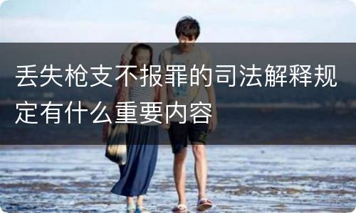 丢失枪支不报罪的司法解释规定有什么重要内容