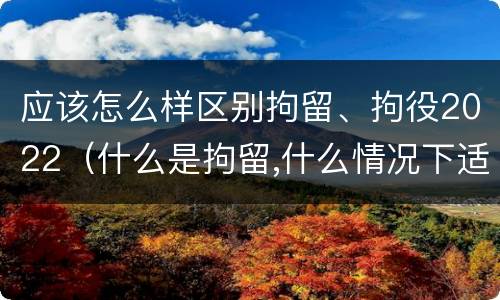 应该怎么样区别拘留、拘役2022（什么是拘留,什么情况下适用拘留）