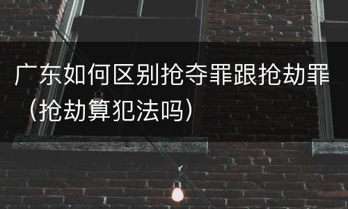 广东如何区别抢夺罪跟抢劫罪（抢劫算犯法吗）