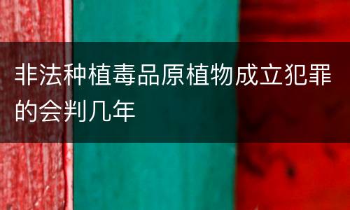 非法种植毒品原植物成立犯罪的会判几年