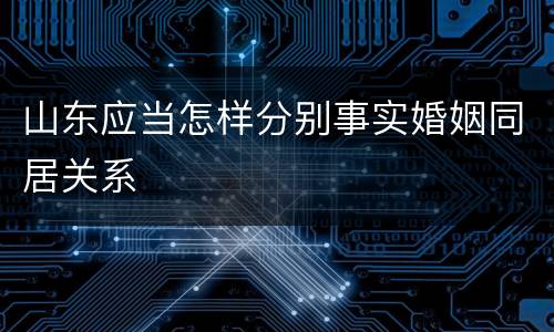 山东应当怎样分别事实婚姻同居关系