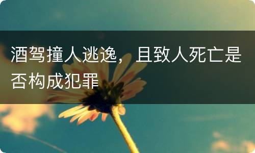 酒驾撞人逃逸，且致人死亡是否构成犯罪