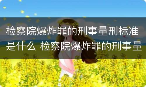 检察院爆炸罪的刑事量刑标准是什么 检察院爆炸罪的刑事量刑标准是什么呢