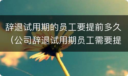 辞退试用期的员工要提前多久（公司辞退试用期员工需要提前多久）